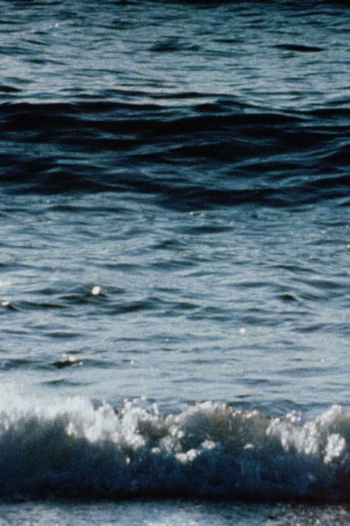 Red Sea