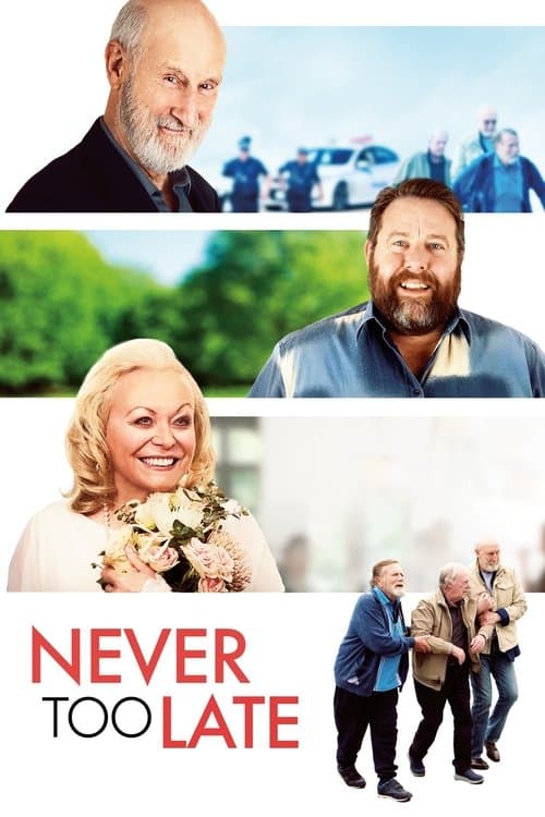 Never Too Late - Es ist nie zu spät für die Liebe